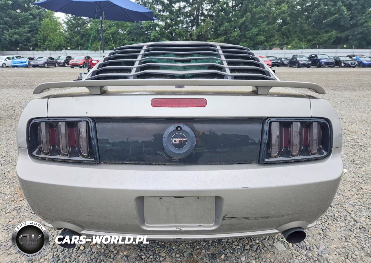 2009 Ford Mustang Gt VIN:1ZVHT82H695110558 - 6
