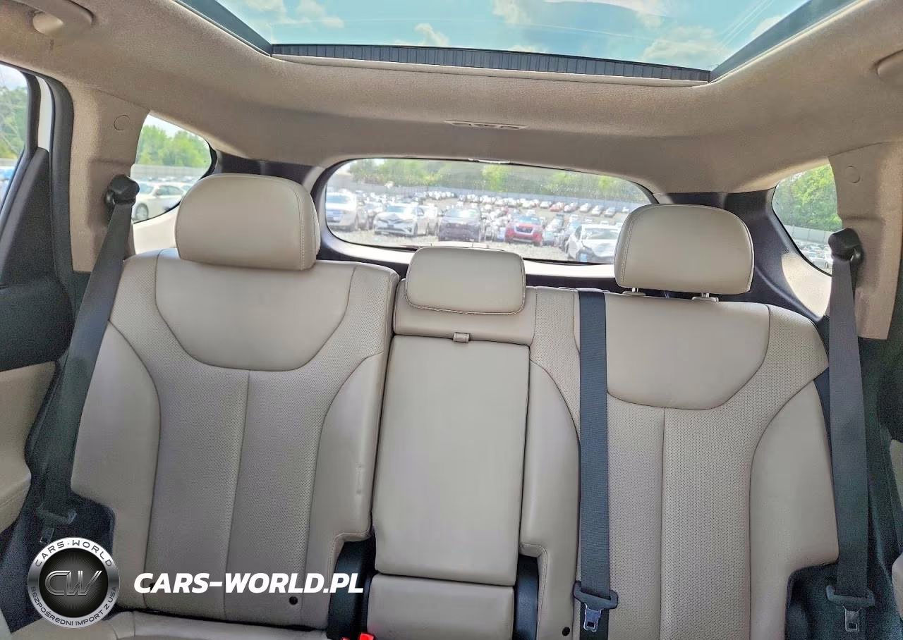 2019 Hyundai Santa Fe Ultimate 2.4L VIN:5NMS53ADXKH065048 - 10