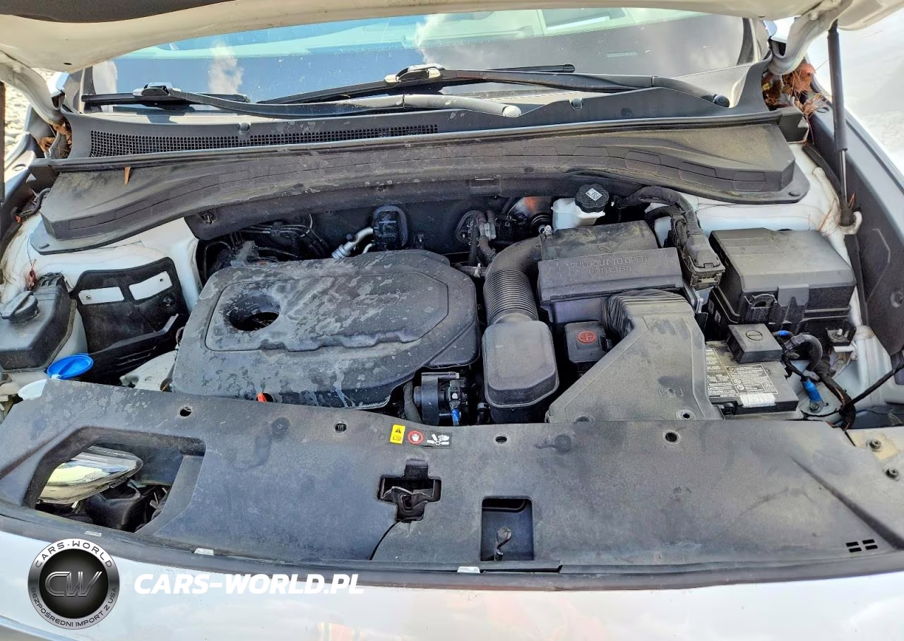 2019 Hyundai Santa Fe Ultimate 2.4L VIN:5NMS53ADXKH065048 - 12