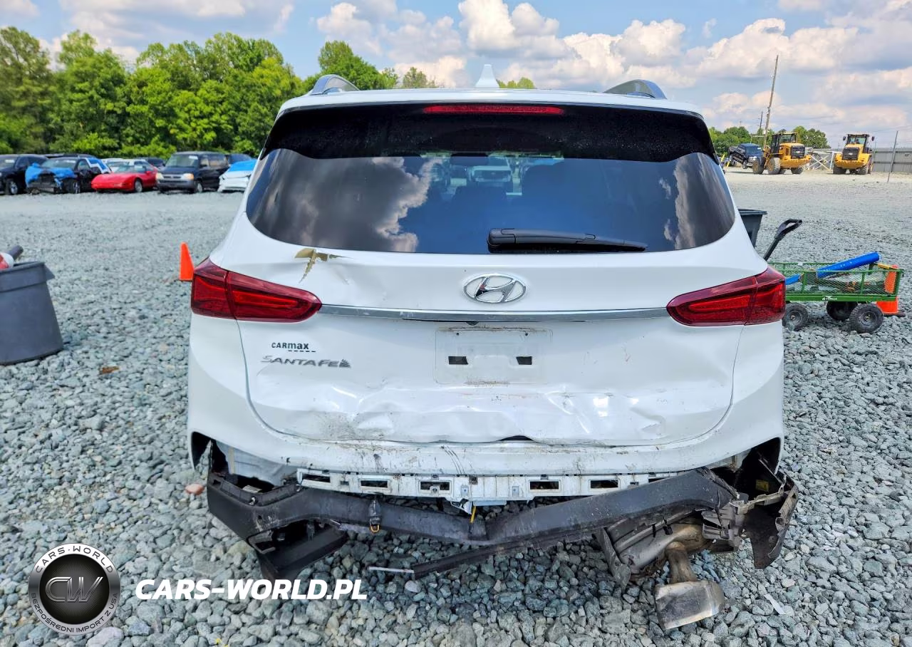 2019 Hyundai Santa Fe Ultimate 2.4L VIN:5NMS53ADXKH065048 - 6