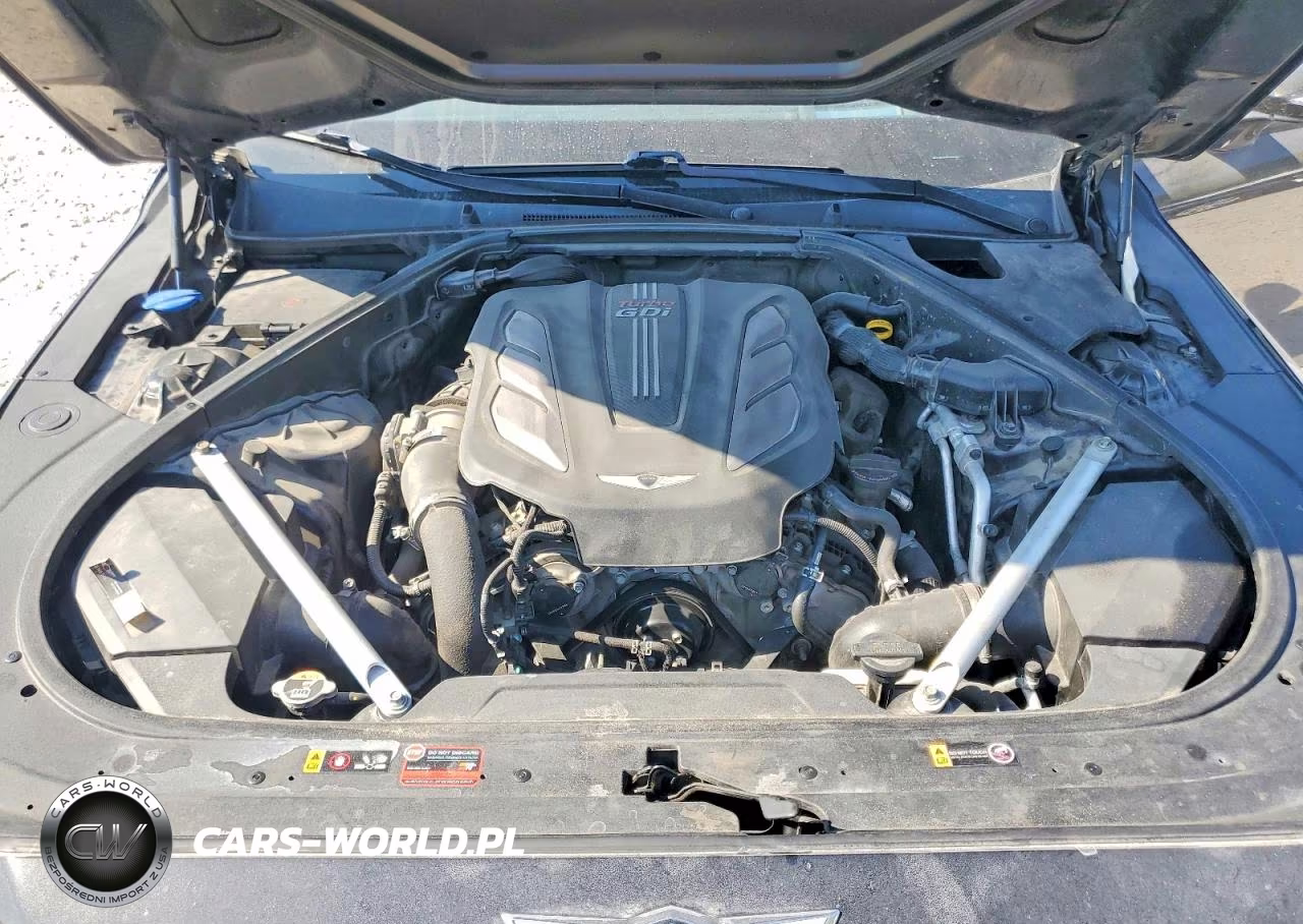 2019 Genesis G90 Premium VIN:KMTF34JA7KU061620 - 11