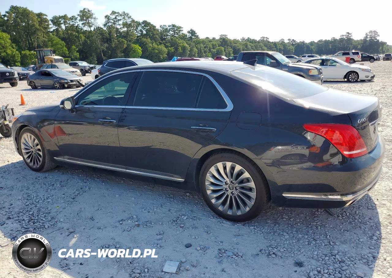 2019 Genesis G90 Premium VIN:KMTF34JA7KU061620 - 2
