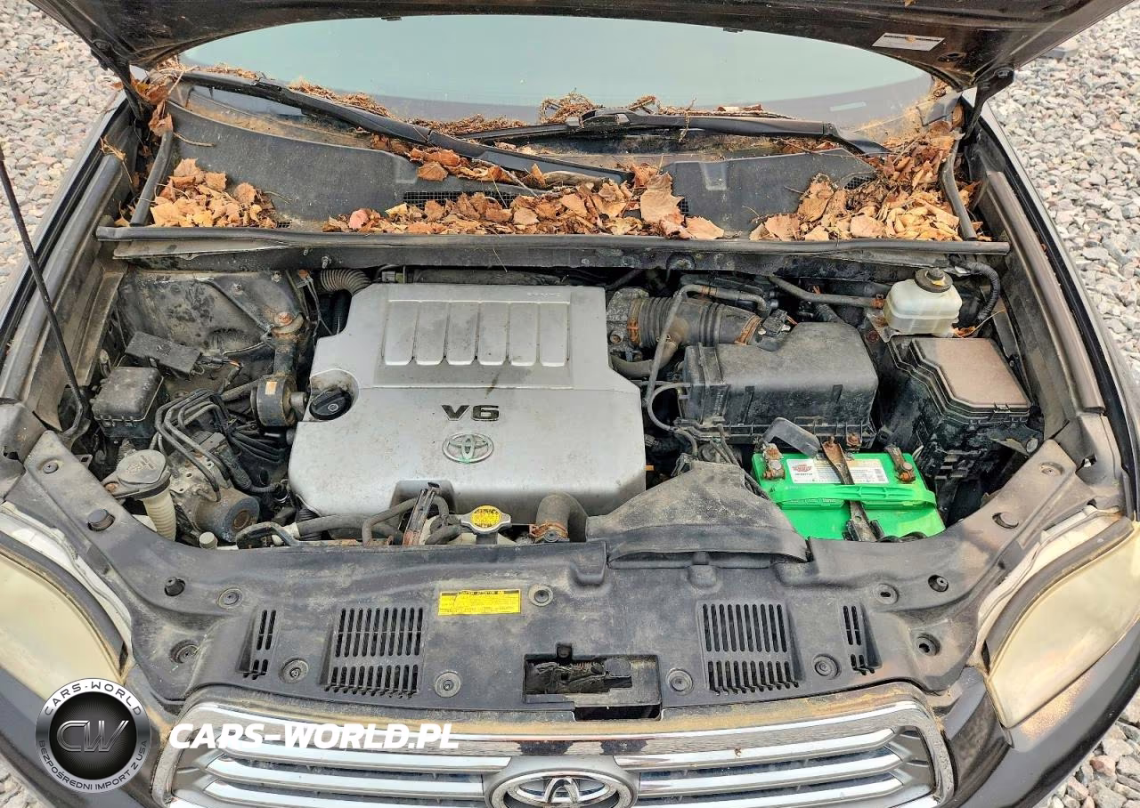 2009 Toyt Highlander VIN:JTEES42A692114840 - 11