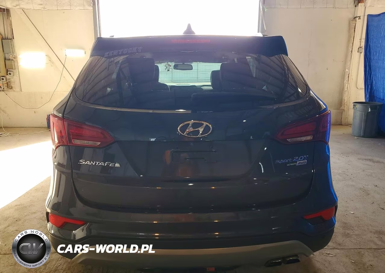 2017 Hyundai Santa Fe Sport 2.0T Ultimate VIN:5XYZWDLA9HG452214 - 6