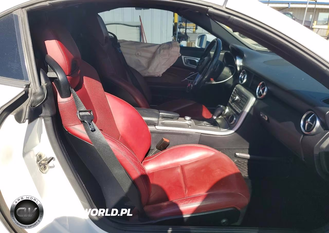 2015 Mercedes-Benz Slk 250 VIN:WDDPK4HA9FF103457 - 10