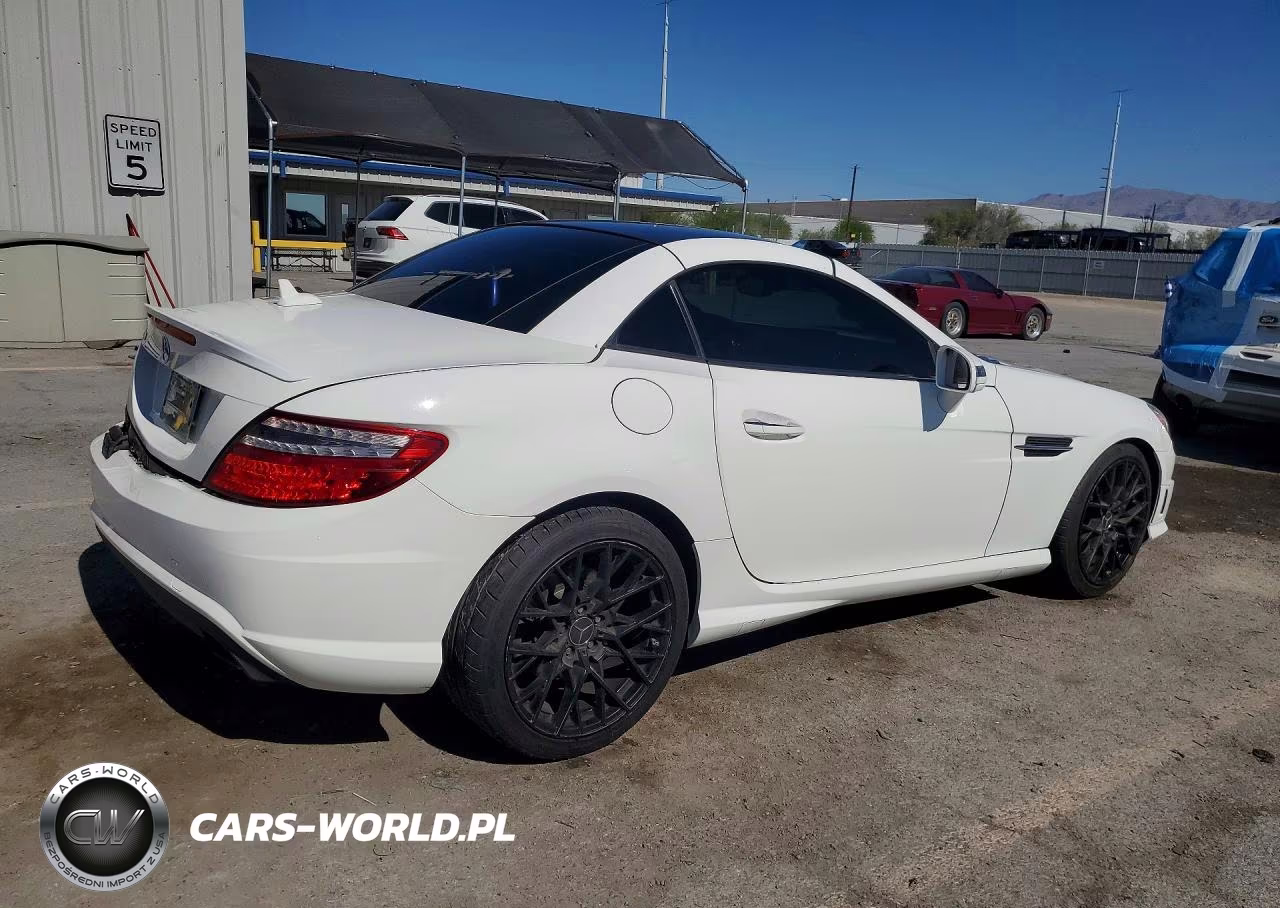 2015 Mercedes-Benz Slk 250 VIN:WDDPK4HA9FF103457 - 3