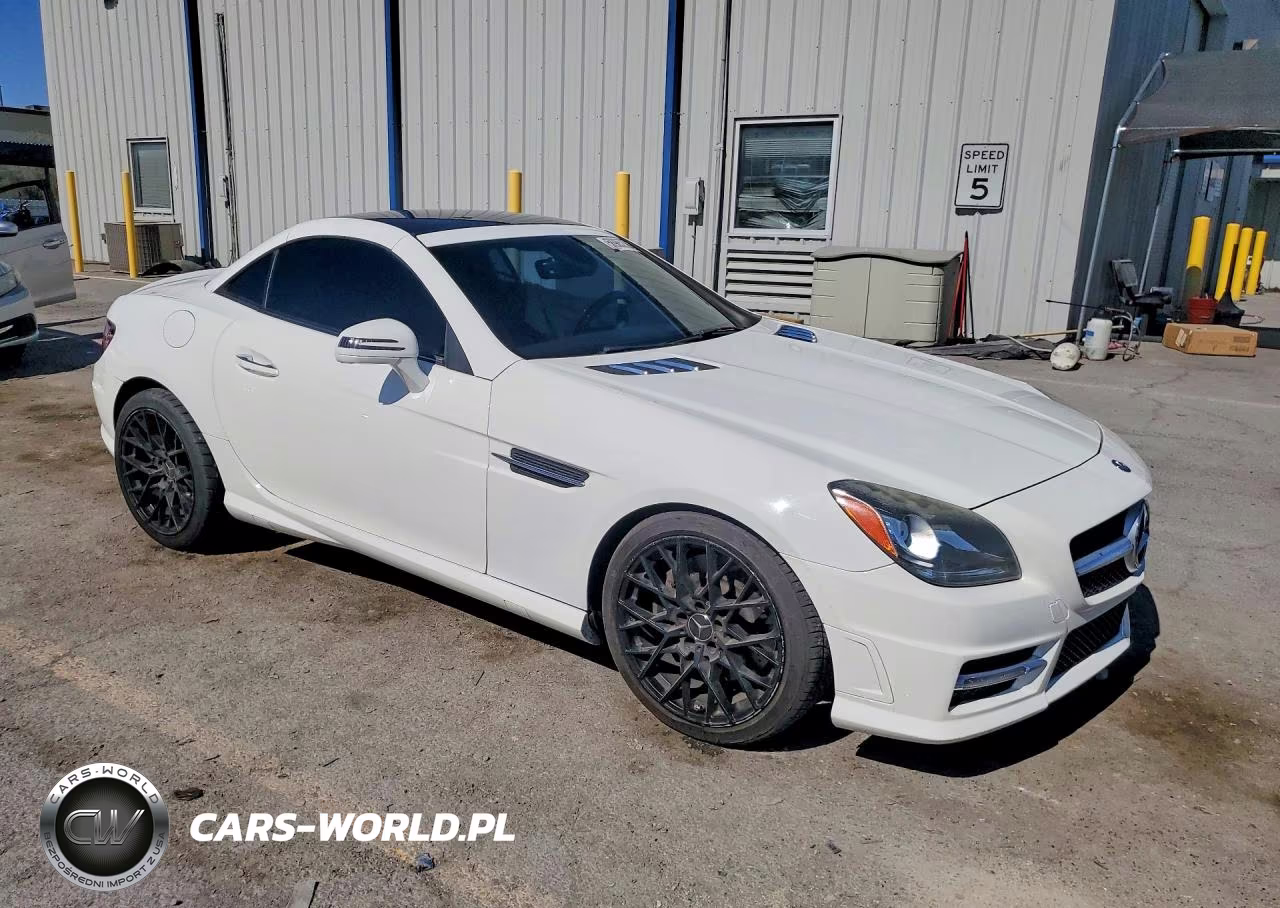 2015 Mercedes-Benz Slk 250 VIN:WDDPK4HA9FF103457 - 4