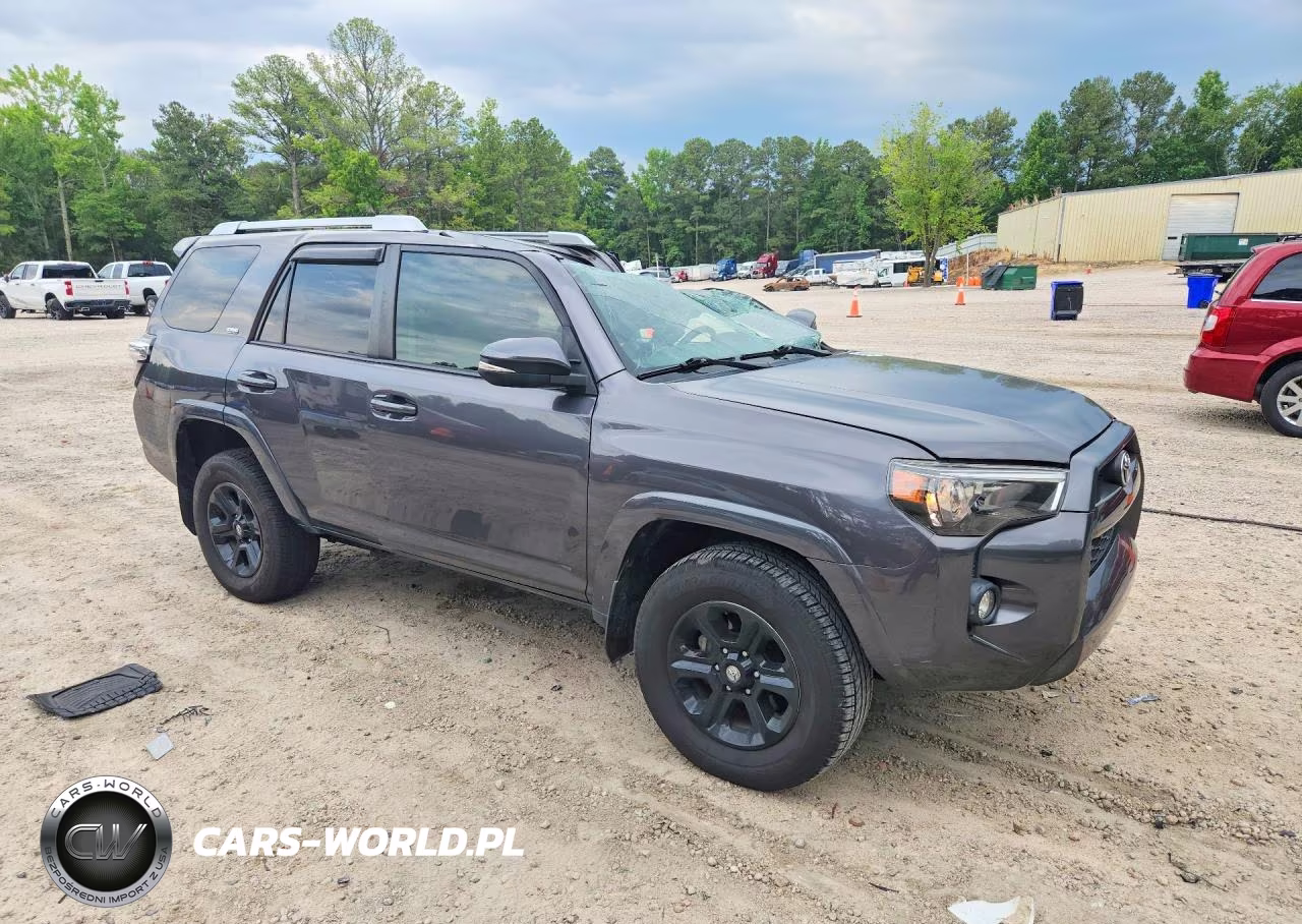 2018 Toyota 4Runner Sr5 Premium VIN:JTEZU5JR1J5175279 - 4