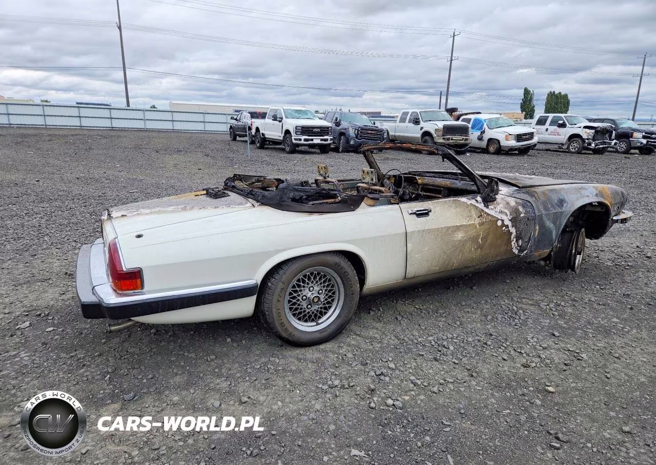 1989 Jaguar Xjs VIN:SAJNV4844KC152033 - 3