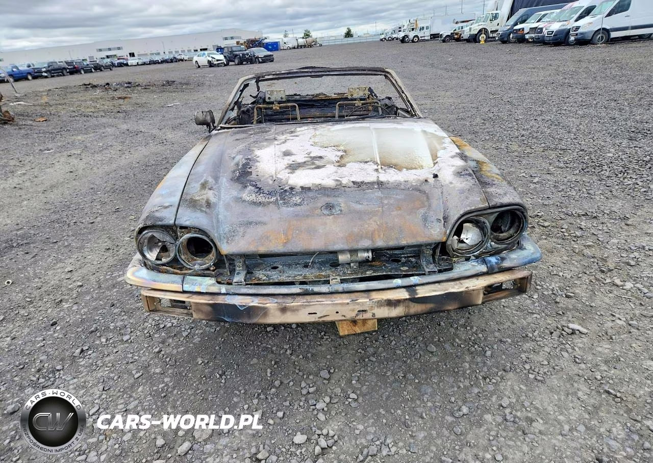 1989 Jaguar Xjs VIN:SAJNV4844KC152033 - 5