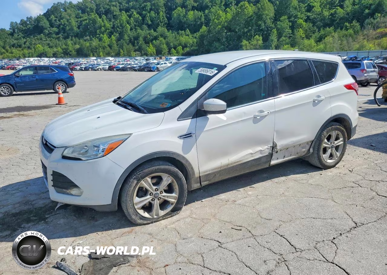 2014 Ford Escape Se