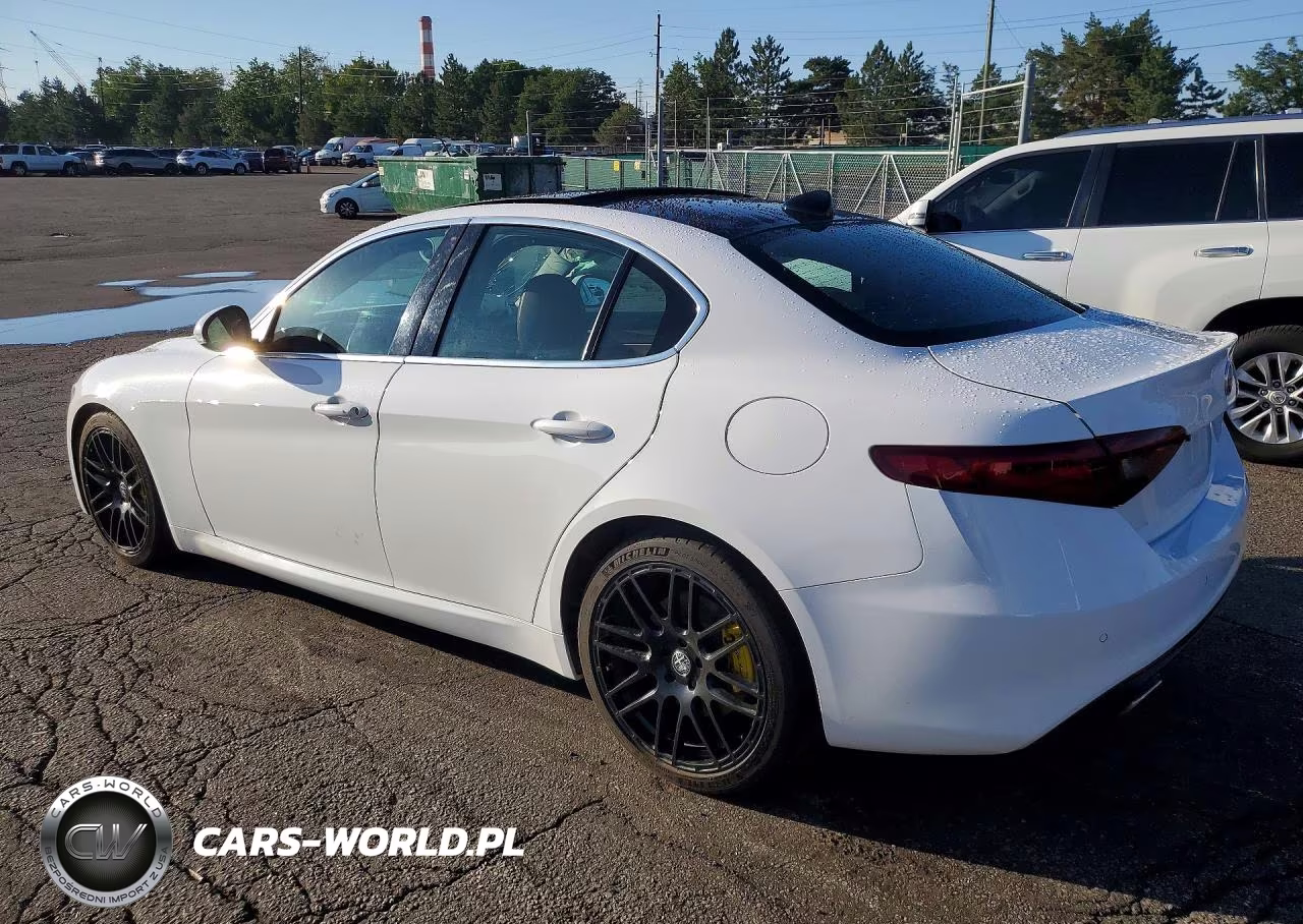 2019 Alfa Romeo Giulia Ti VIN:ZARFAMBN5K7602514 - 2