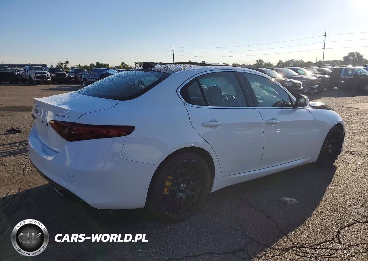 2019 Alfa Romeo Giulia Ti VIN:ZARFAMBN5K7602514 - 3