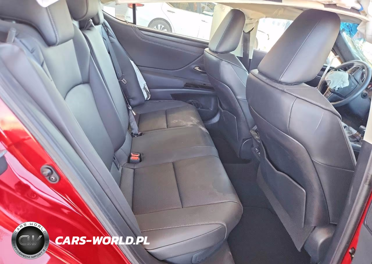 2024 Lexus Es 300H Base VIN:58ADA1C16RU042899 - 10