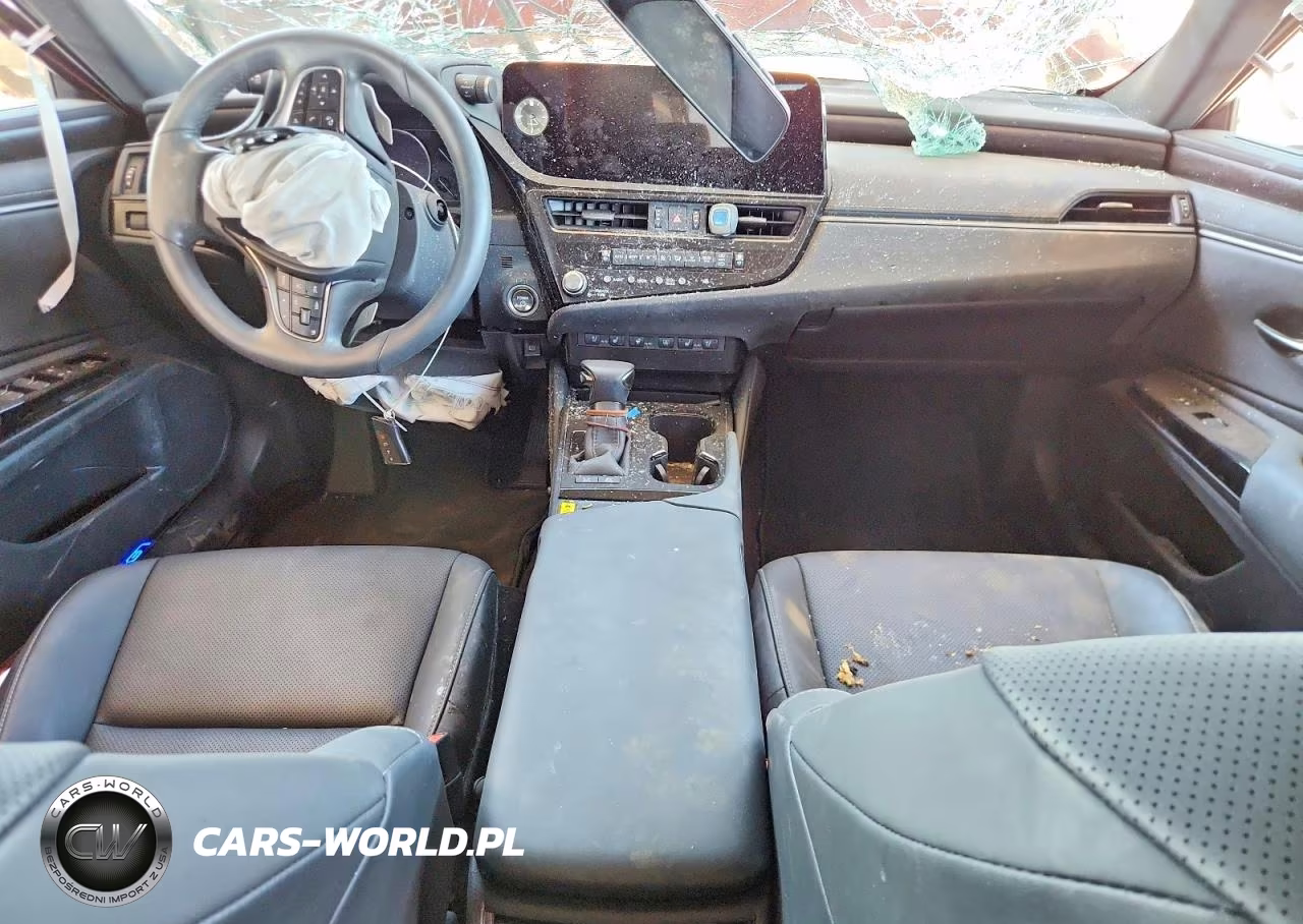 2024 Lexus Es 300H Base VIN:58ADA1C16RU042899 - 8