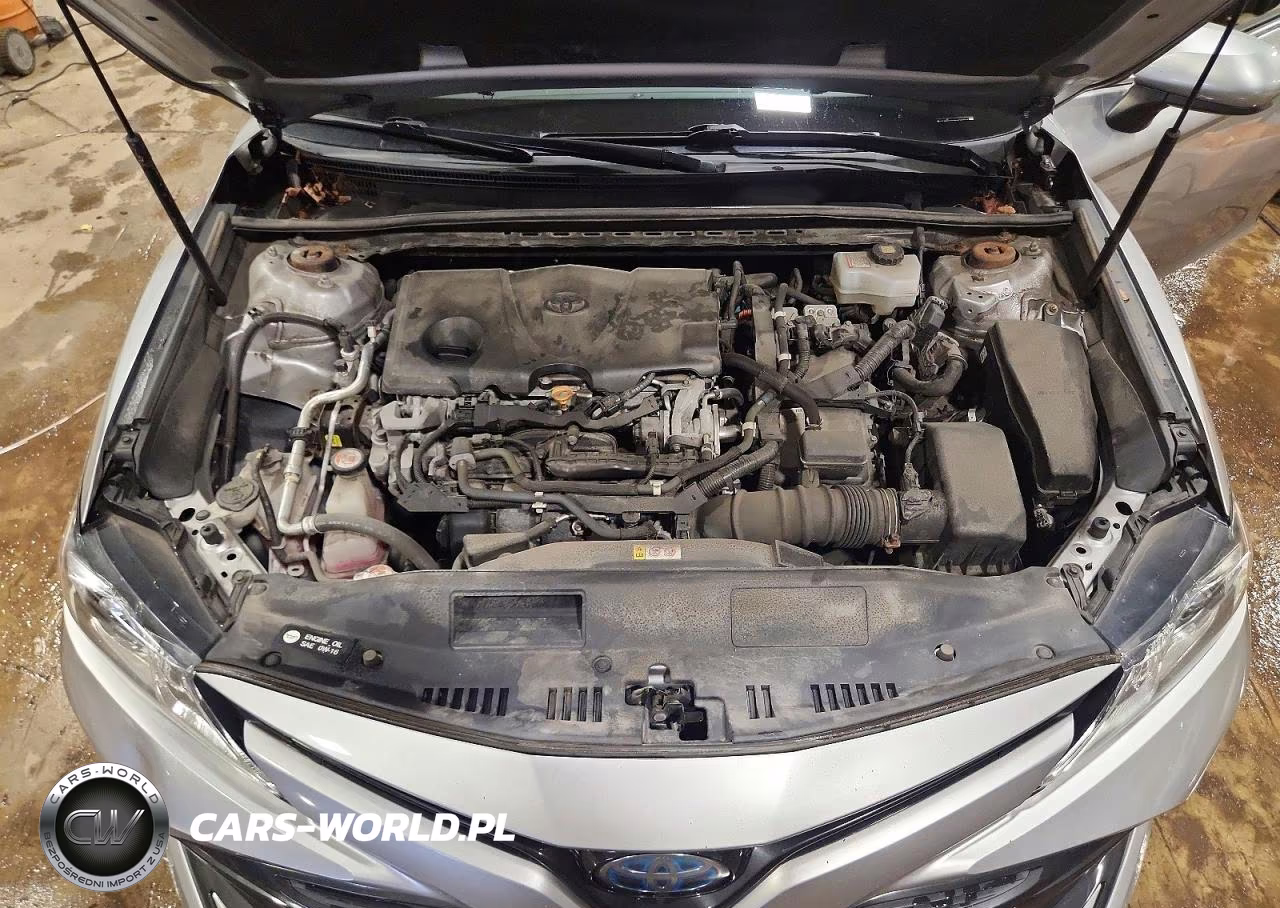 2019 Toyota Camry Le VIN:4T1B31HK1KU512241 - 11