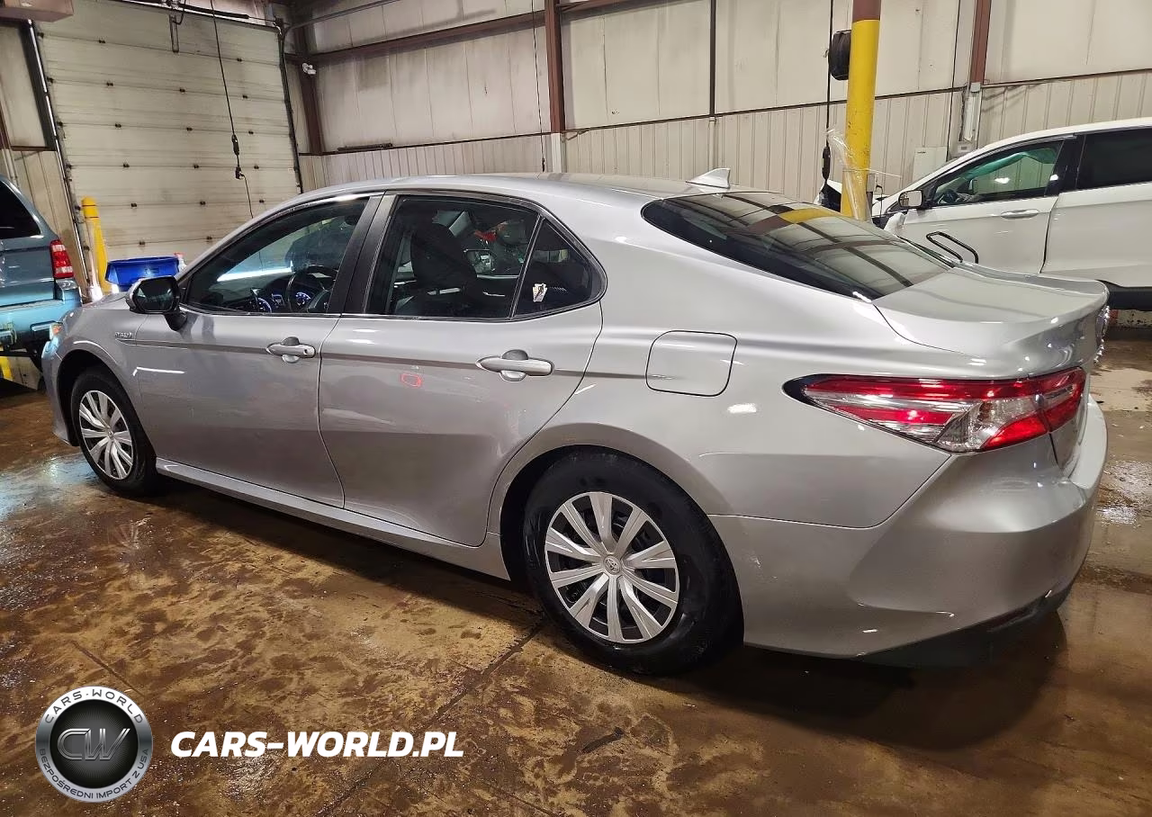2019 Toyota Camry Le VIN:4T1B31HK1KU512241 - 2