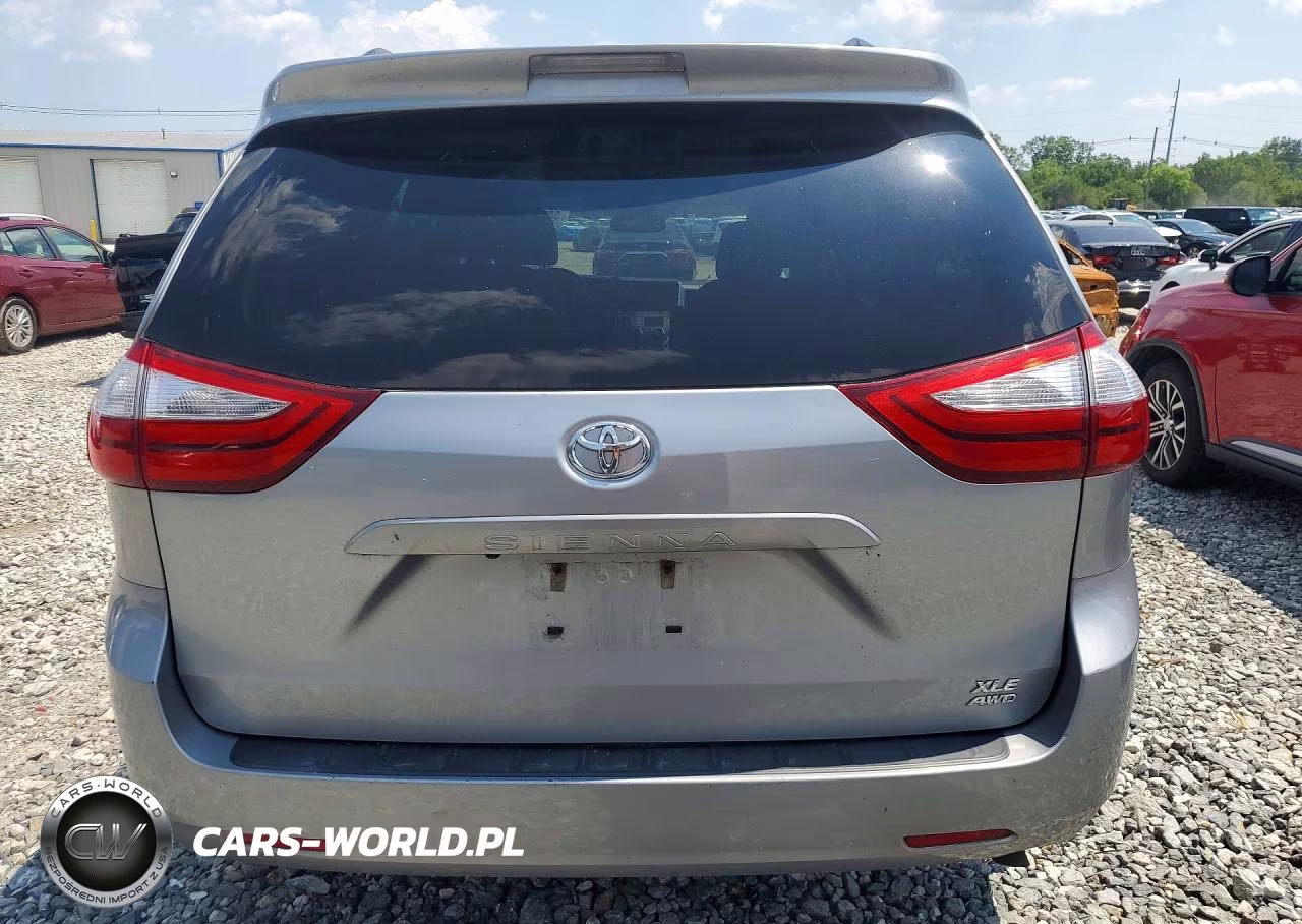 2017 Toyota Sienna Xle 7-Passenger VIN:5TDDZ3DCXHS181159 - 6