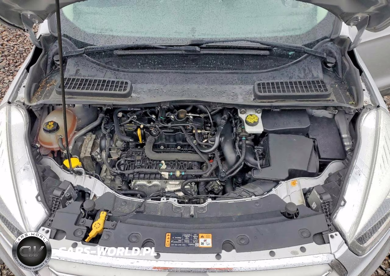 2018 Ford Escape Sel VIN:1FMCU9HD3JUC68494 - 12