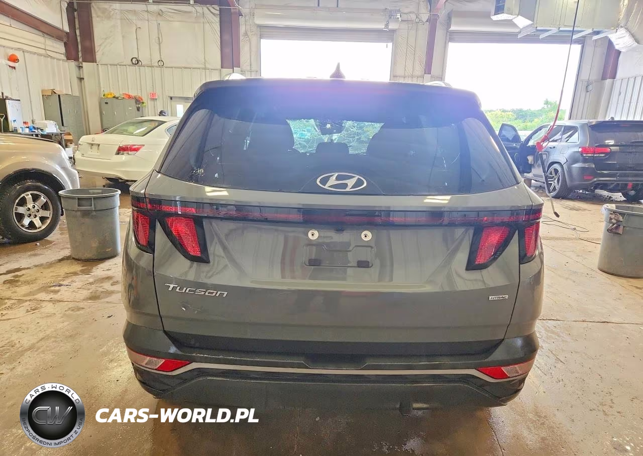 2024 Hyundai Tucson Sel VIN:5NMJBCDE9RH308500 - 6