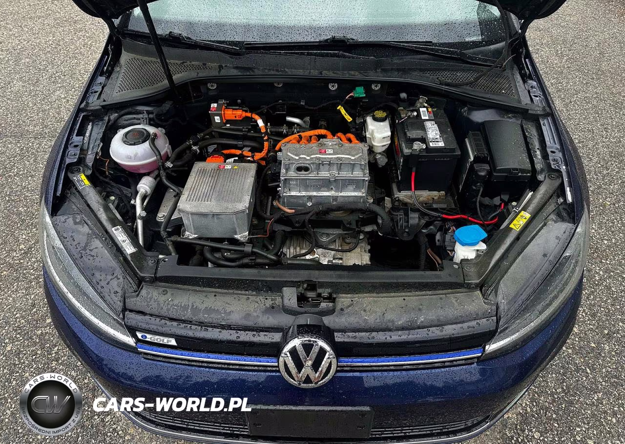 2019 Volkswagen E-Golf Se VIN:WVWKR7AU8KW914652 - 7