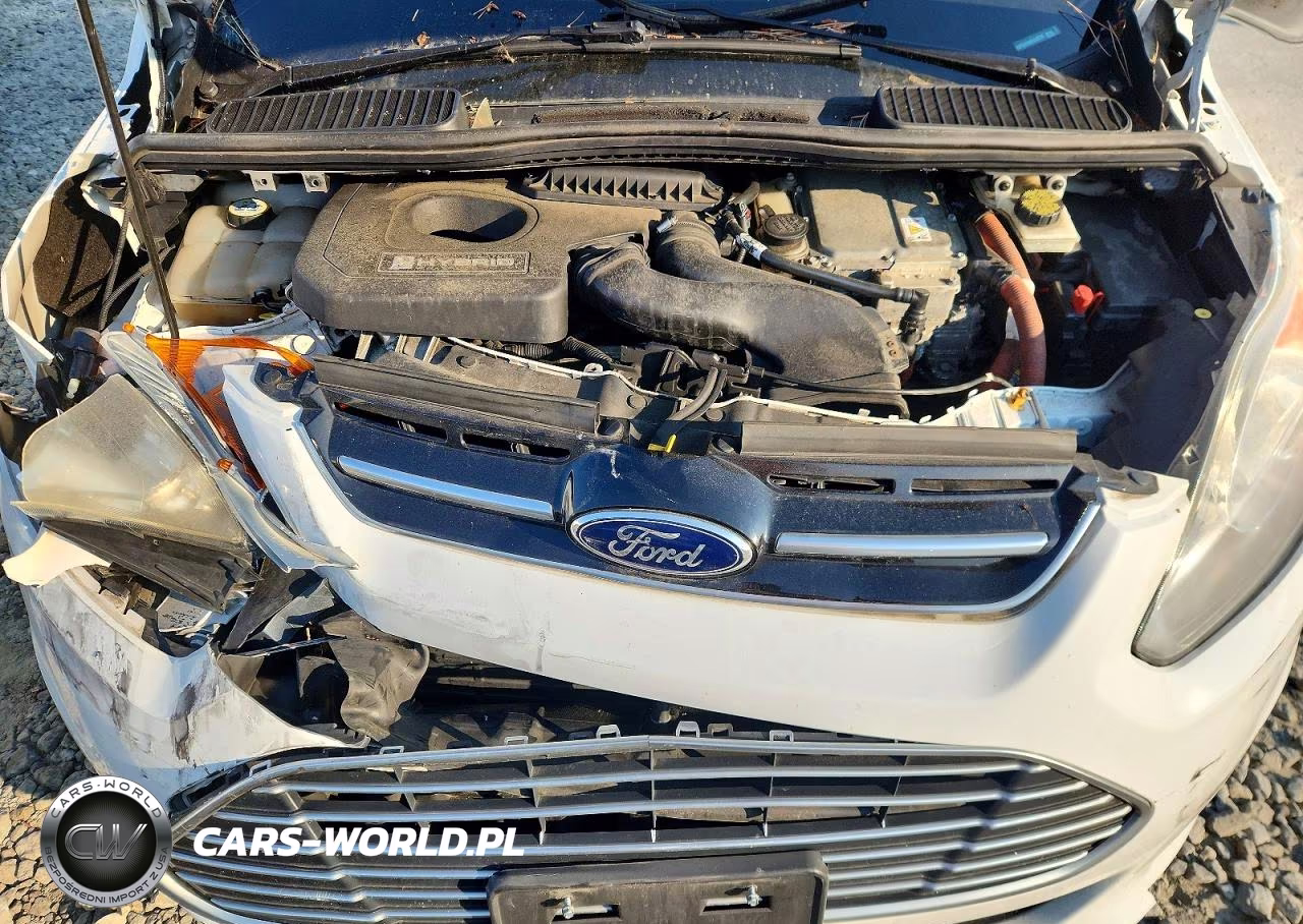 2013 Ford C-Max Se VIN:1FADP5AU3DL515726 - 12