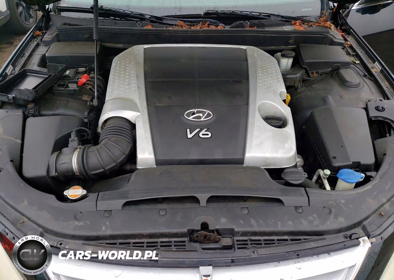 2009 Hyundai Genesis 3.8L VIN:KMHGC46E09U030391 - 11