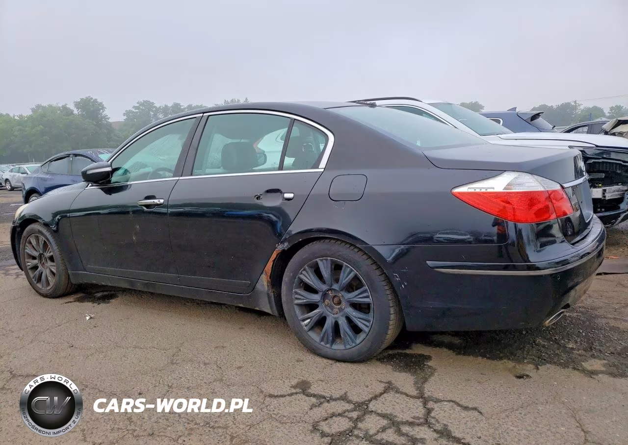 2009 Hyundai Genesis 3.8L VIN:KMHGC46E09U030391 - 2