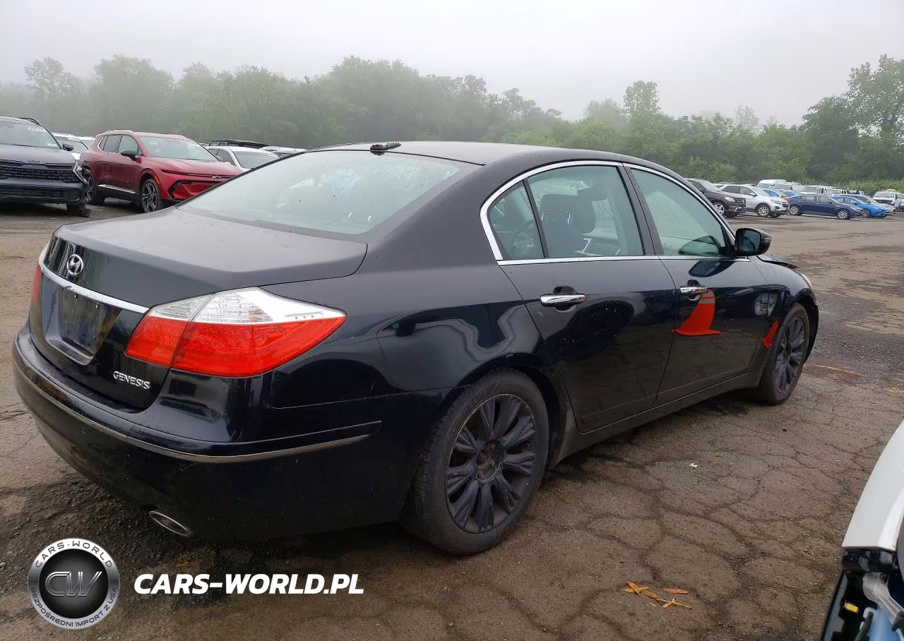 2009 Hyundai Genesis 3.8L VIN:KMHGC46E09U030391 - 3
