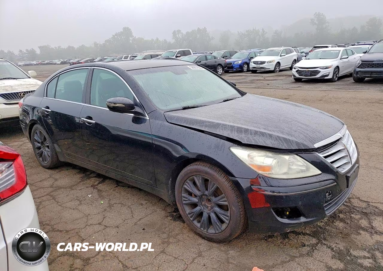 2009 Hyundai Genesis 3.8L VIN:KMHGC46E09U030391 - 4