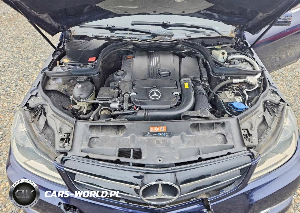 2013 Mercedes-Benz C 250 VIN:WDDGJ4HB9DF945482 - 11