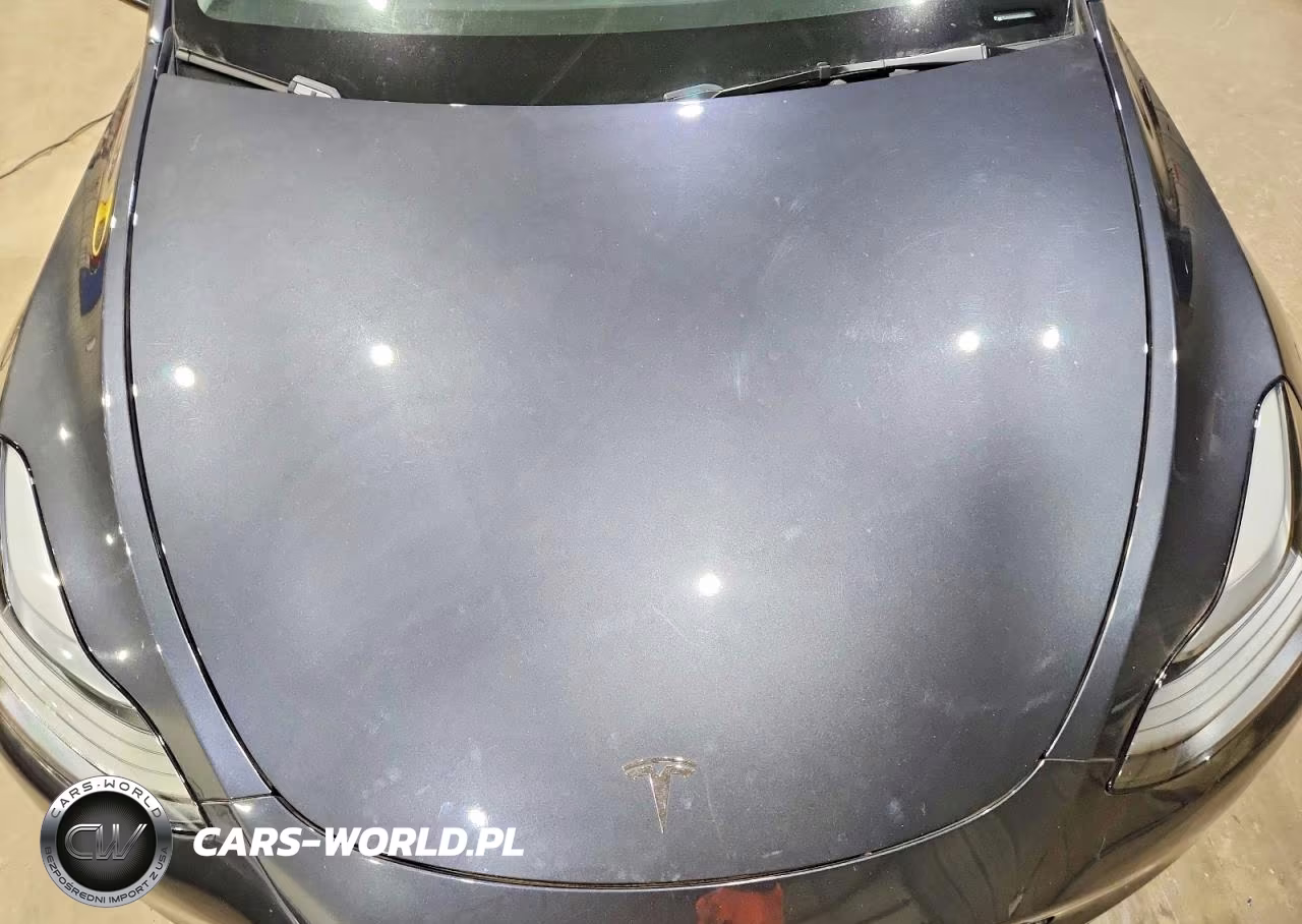 2024 Tesla Model Y VIN:7SAYGAEE9RF022833 - 11