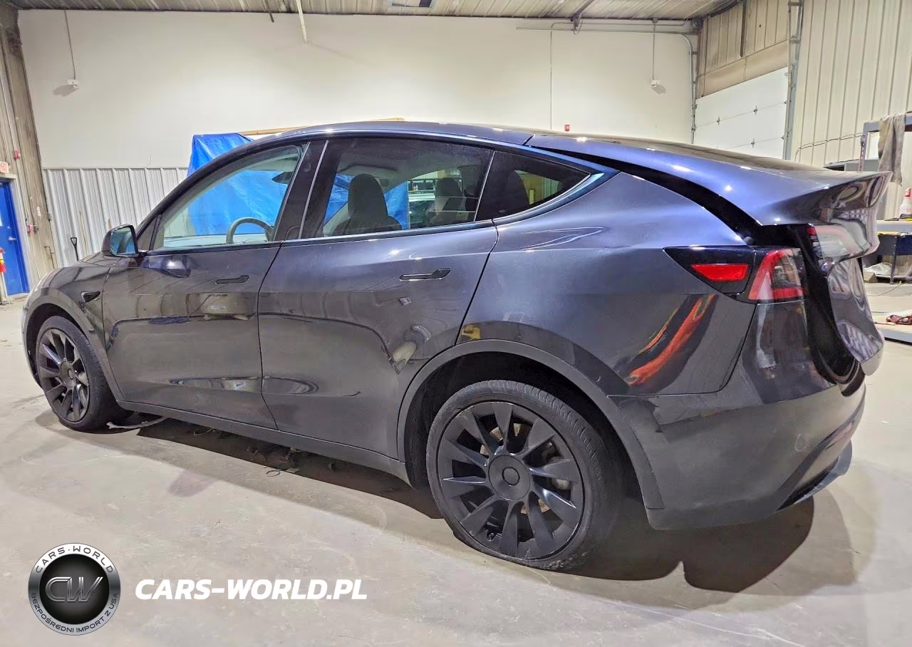 2024 Tesla Model Y VIN:7SAYGAEE9RF022833 - 2