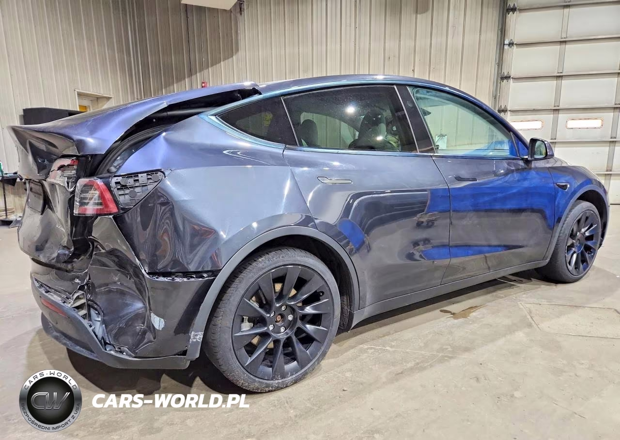 2024 Tesla Model Y VIN:7SAYGAEE9RF022833 - 3