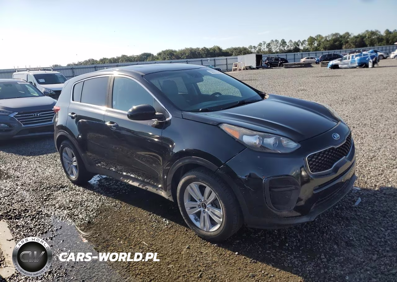 2017 Kia Sportage Lx VIN:KNDPM3AC9H7104552 - 4