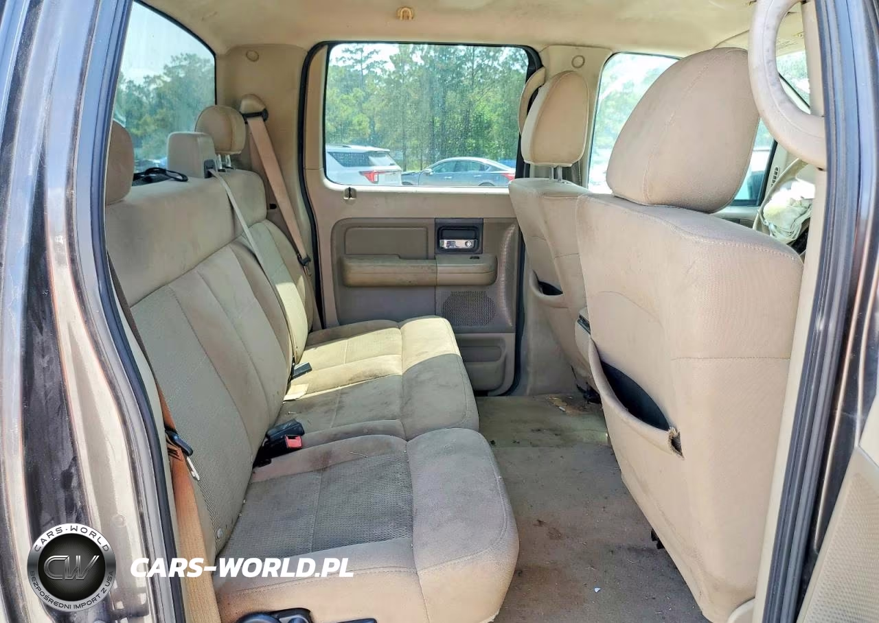 2006 Ford F150 Supercrew VIN:1FTRW12WX6FB04630 - 10