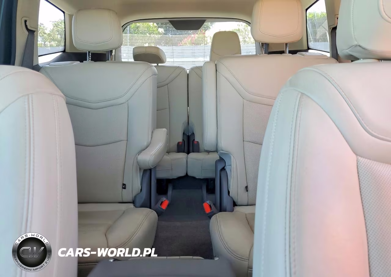 2020 Cadillac Xt6 Premium Luxury VIN:1GYKPDRS9LZ199897 - 10