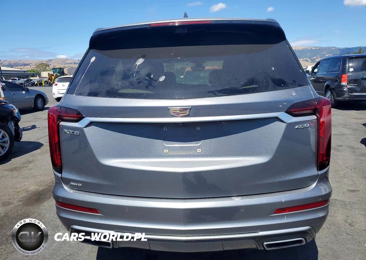 2020 Cadillac Xt6 Premium Luxury VIN:1GYKPDRS9LZ199897 - 6