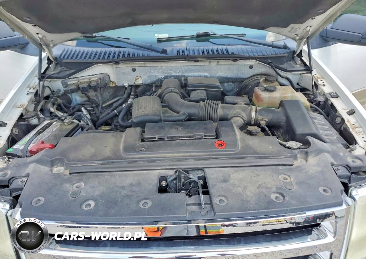 2009 Ford Expedition Eddie Bauer VIN:1FMFU17509EB27736 - 12