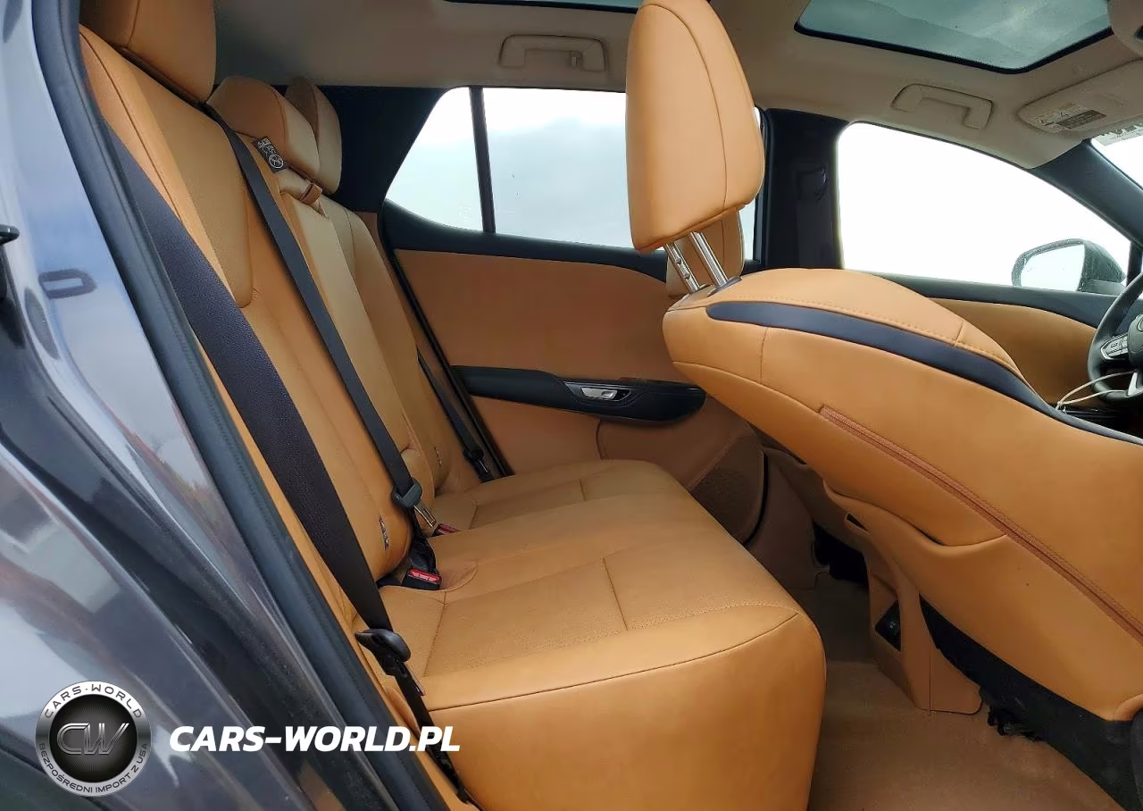 2024 Lexus Rz 300E VIN:JTJABABB3RA006480 - 10