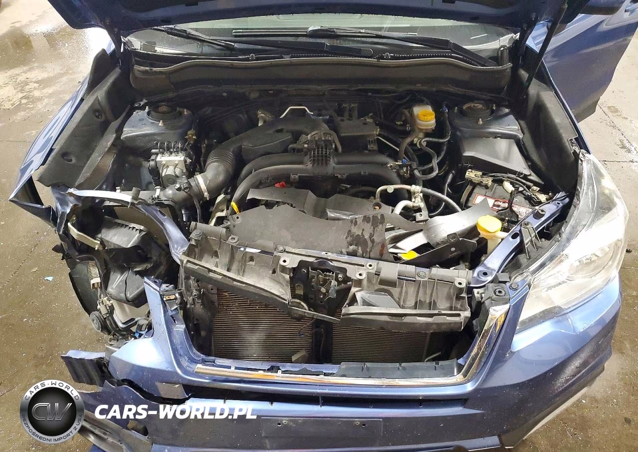 2017 Subaru Forester 2.5I Premium VIN:JF2SJAEC6HG559779 - 12