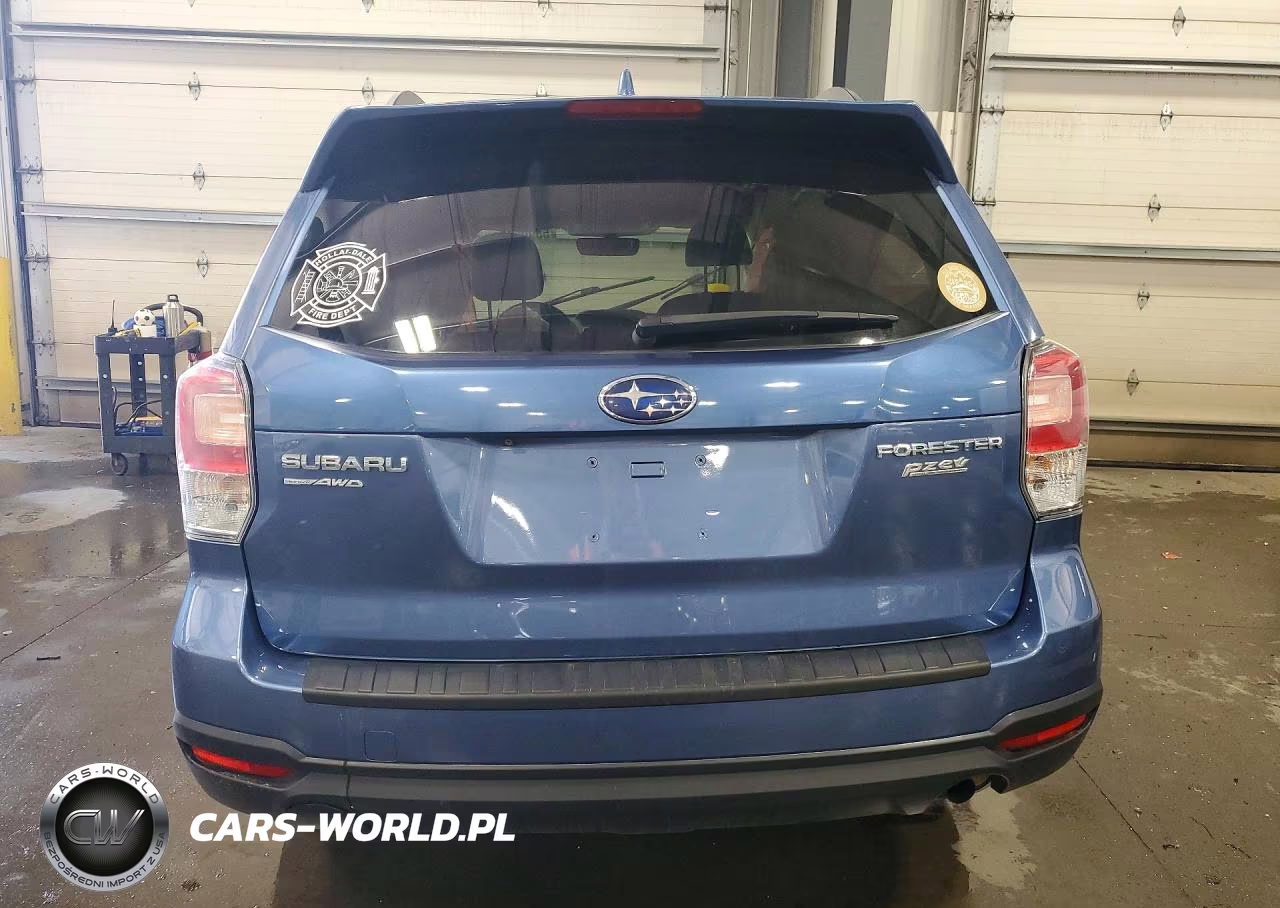 2017 Subaru Forester 2.5I Premium VIN:JF2SJAEC6HG559779 - 6