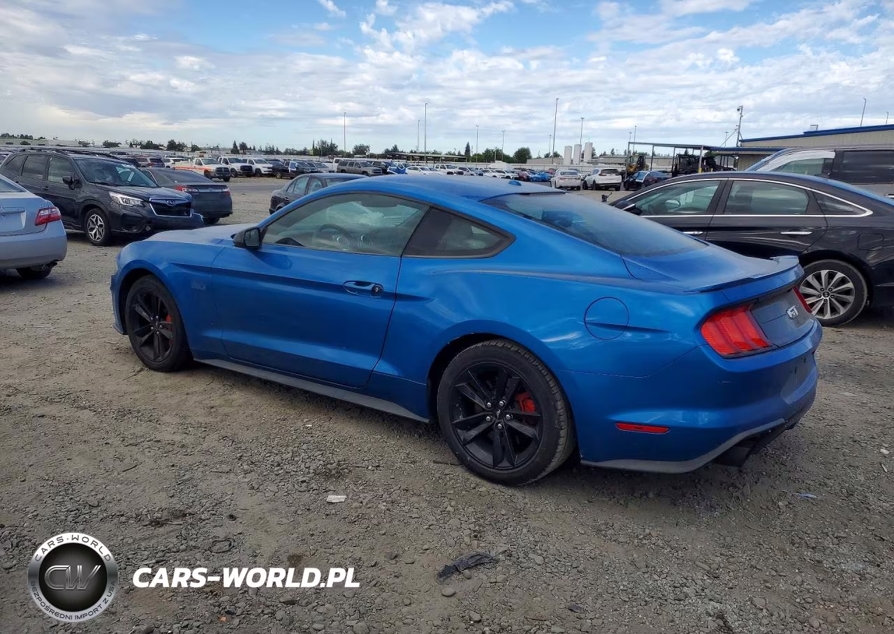 2019 Ford Mustang Gt VIN:1FA6P8CF2K5138302 - 2
