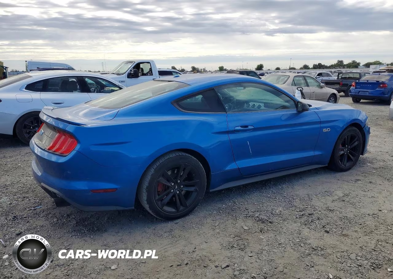 2019 Ford Mustang Gt VIN:1FA6P8CF2K5138302 - 3