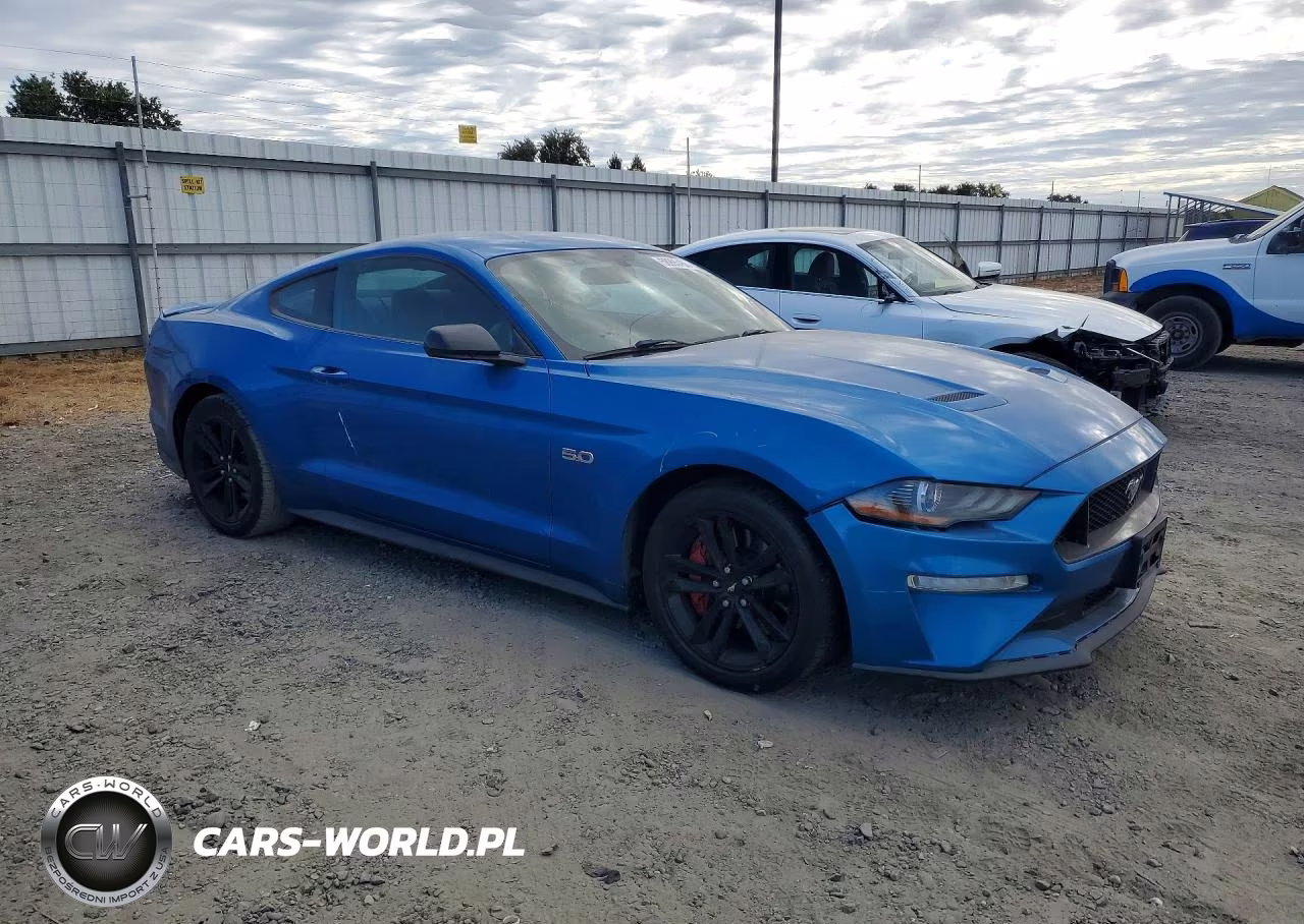 2019 Ford Mustang Gt VIN:1FA6P8CF2K5138302 - 4