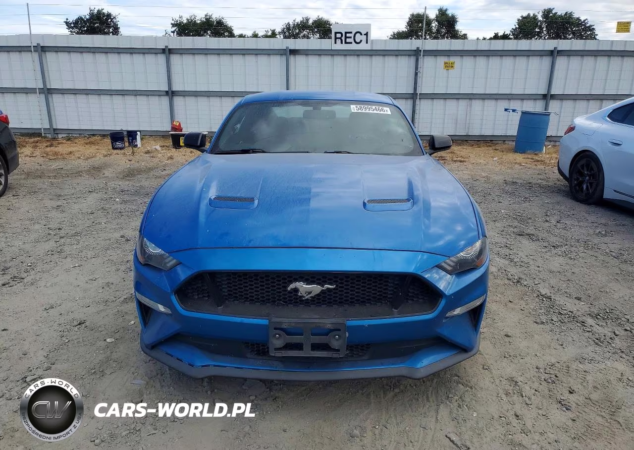 2019 Ford Mustang Gt VIN:1FA6P8CF2K5138302 - 5