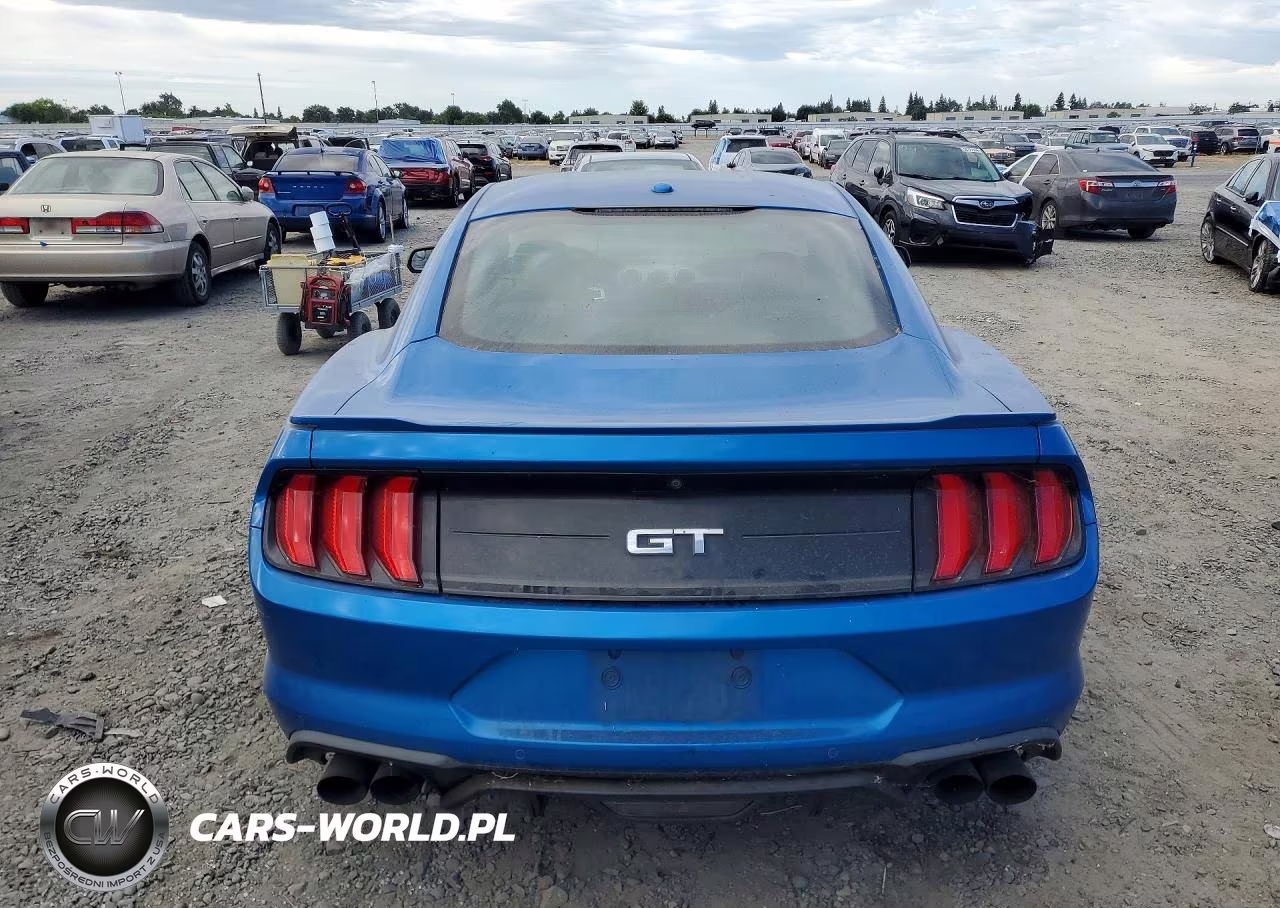 2019 Ford Mustang Gt VIN:1FA6P8CF2K5138302 - 6