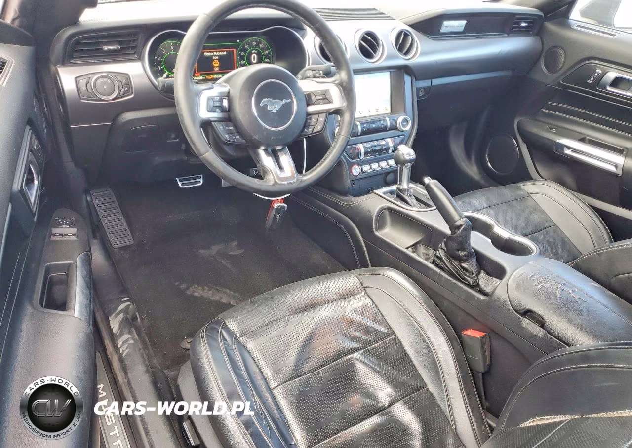 2019 Ford Mustang Gt VIN:1FA6P8CF2K5138302 - 8