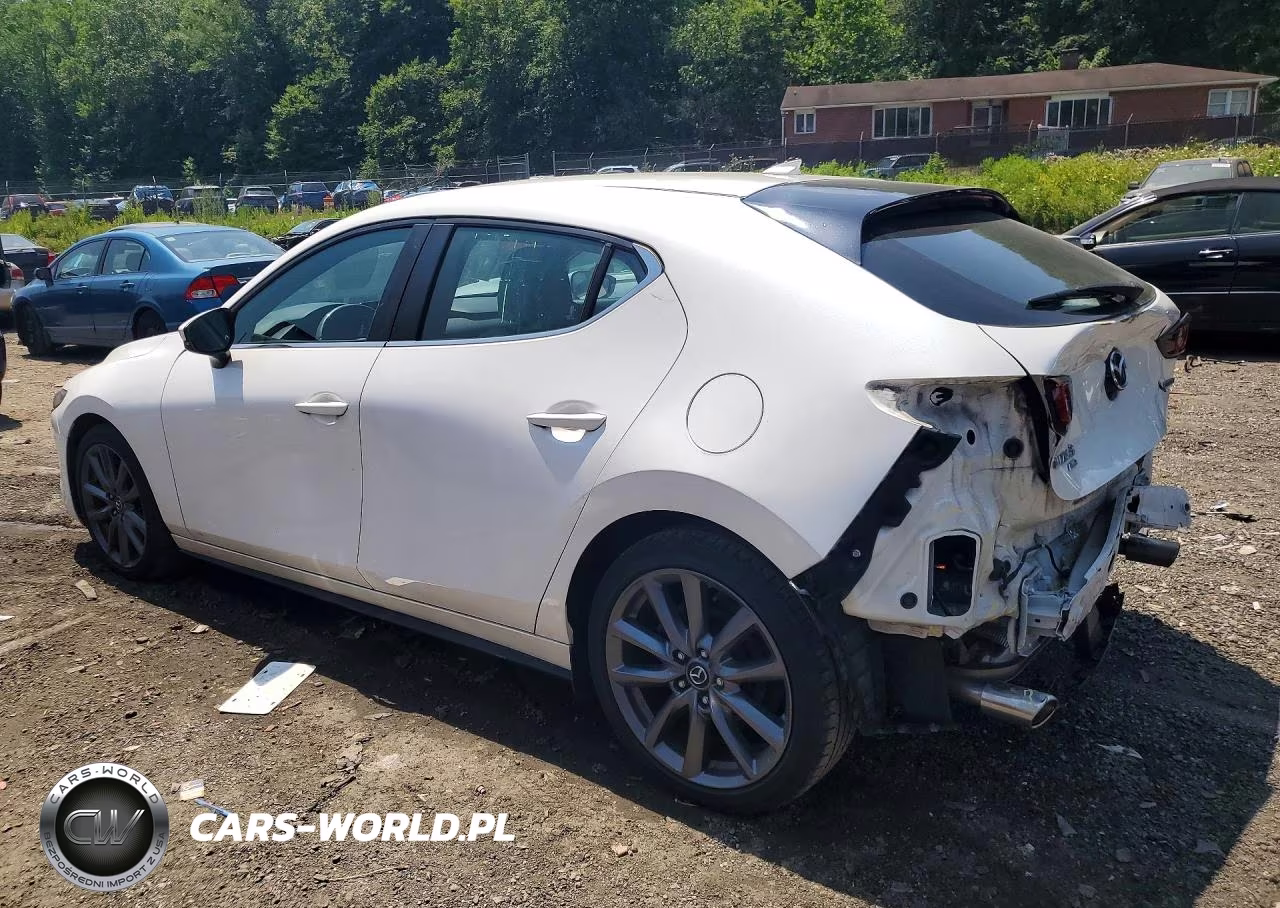 2019 Mazda 3 Preferred VIN:JM1BPBMM6K1126759 - 2