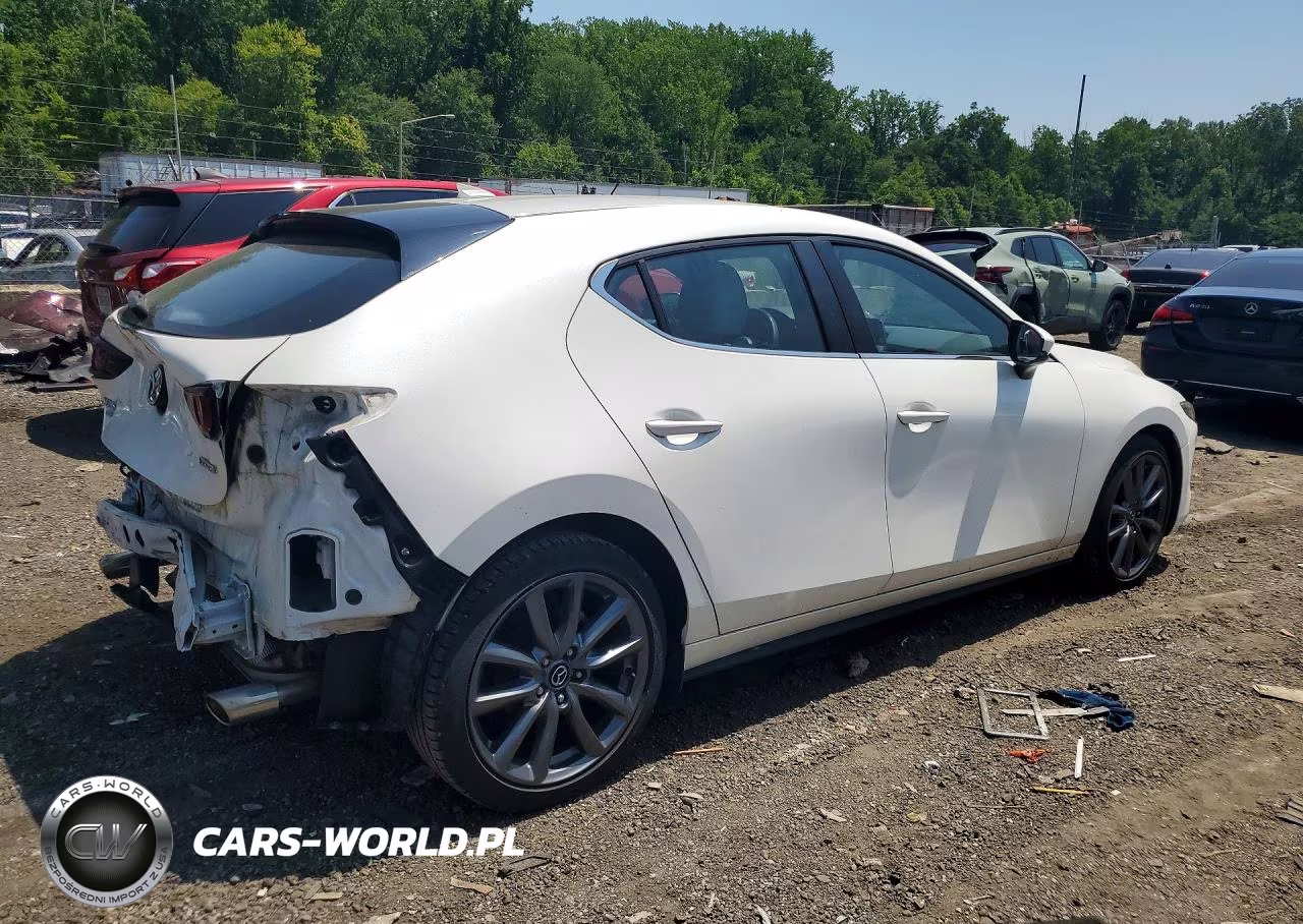 2019 Mazda 3 Preferred VIN:JM1BPBMM6K1126759 - 3